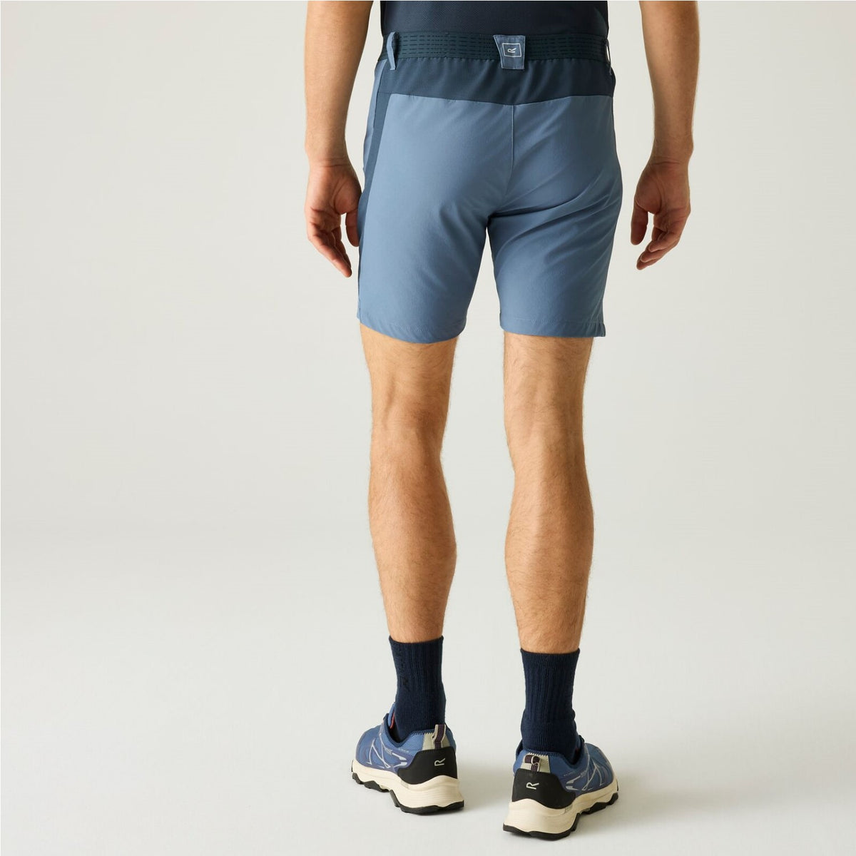 Regatta Mountain Shorts für Herren