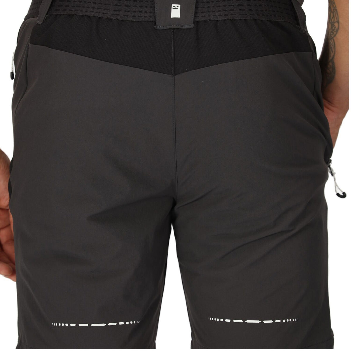 Regatta Mountain Shorts II Wanderhose für Herren