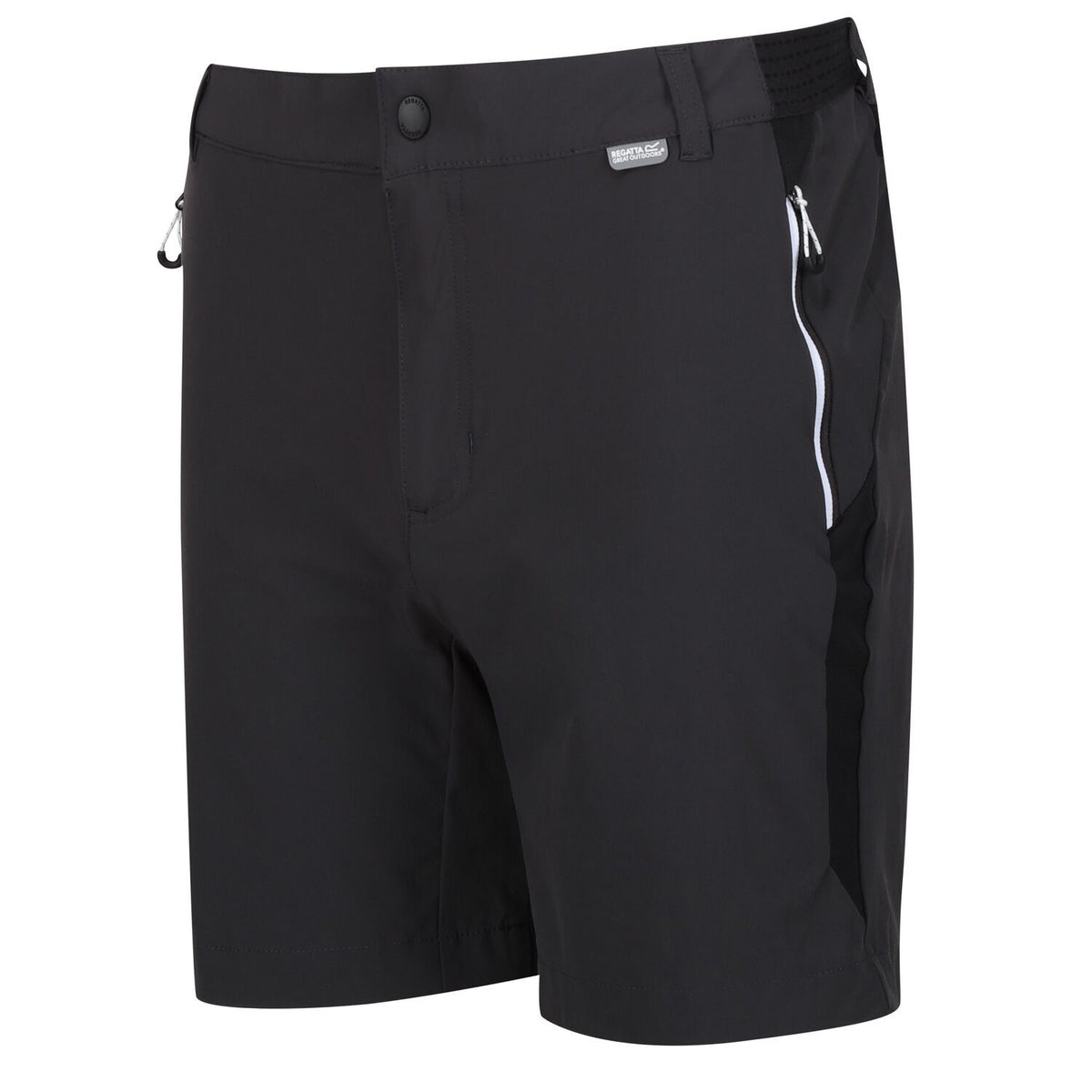 Regatta Mountain Shorts II Wanderhose für Herren