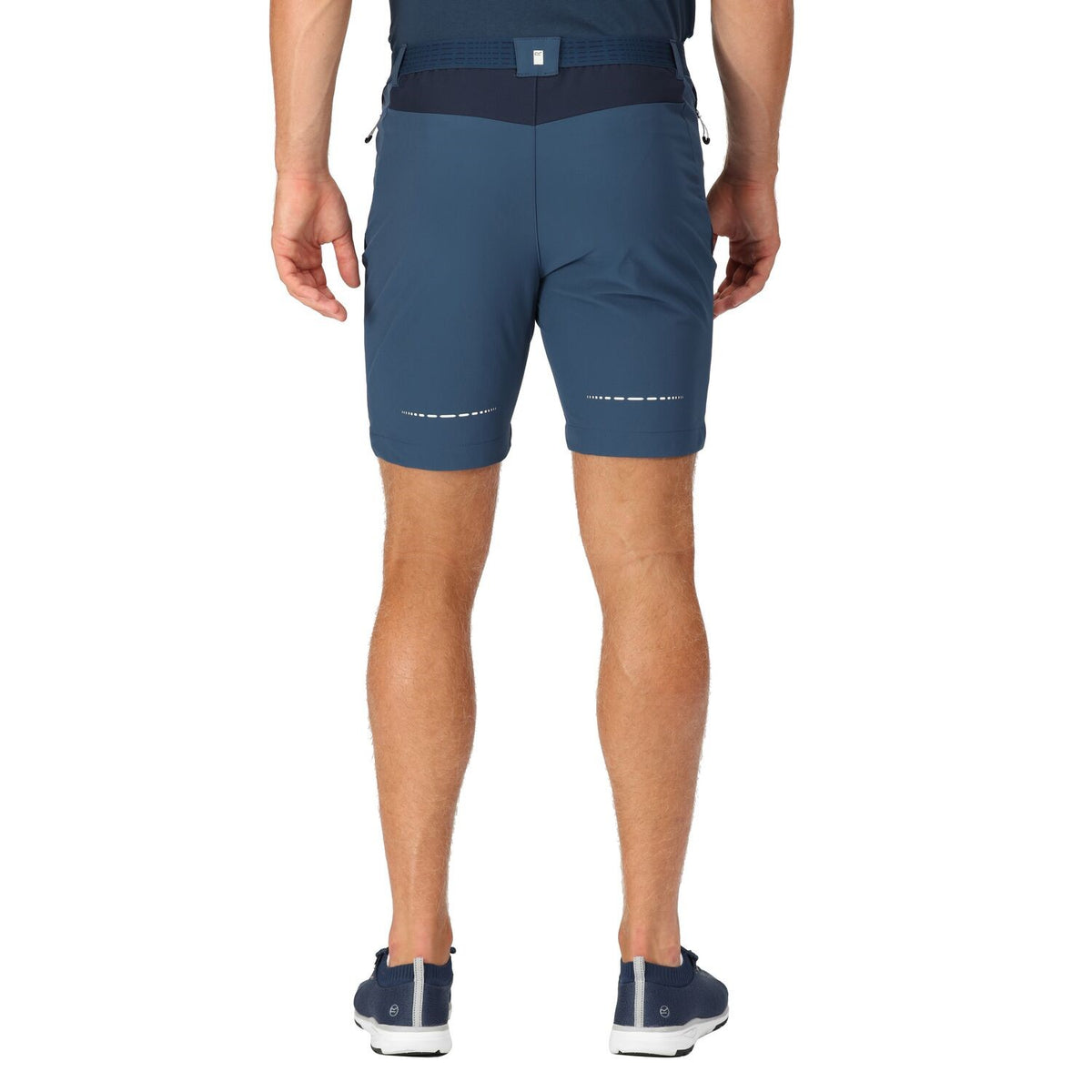 Regatta Mountain Shorts II Wanderhose für Herren