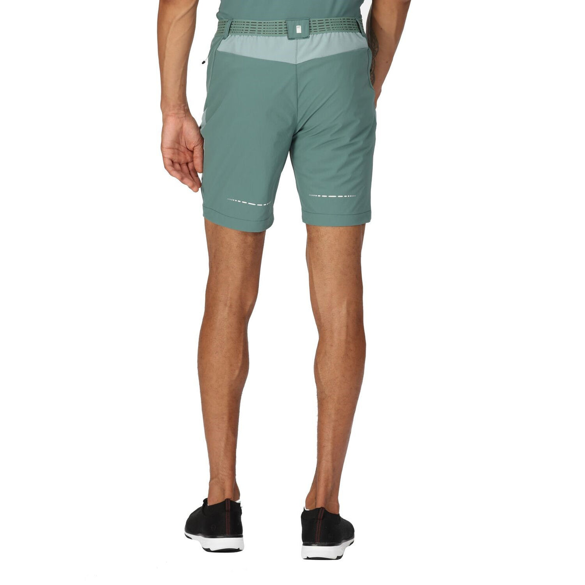 Regatta Mountain Shorts II Wanderhose für Herren