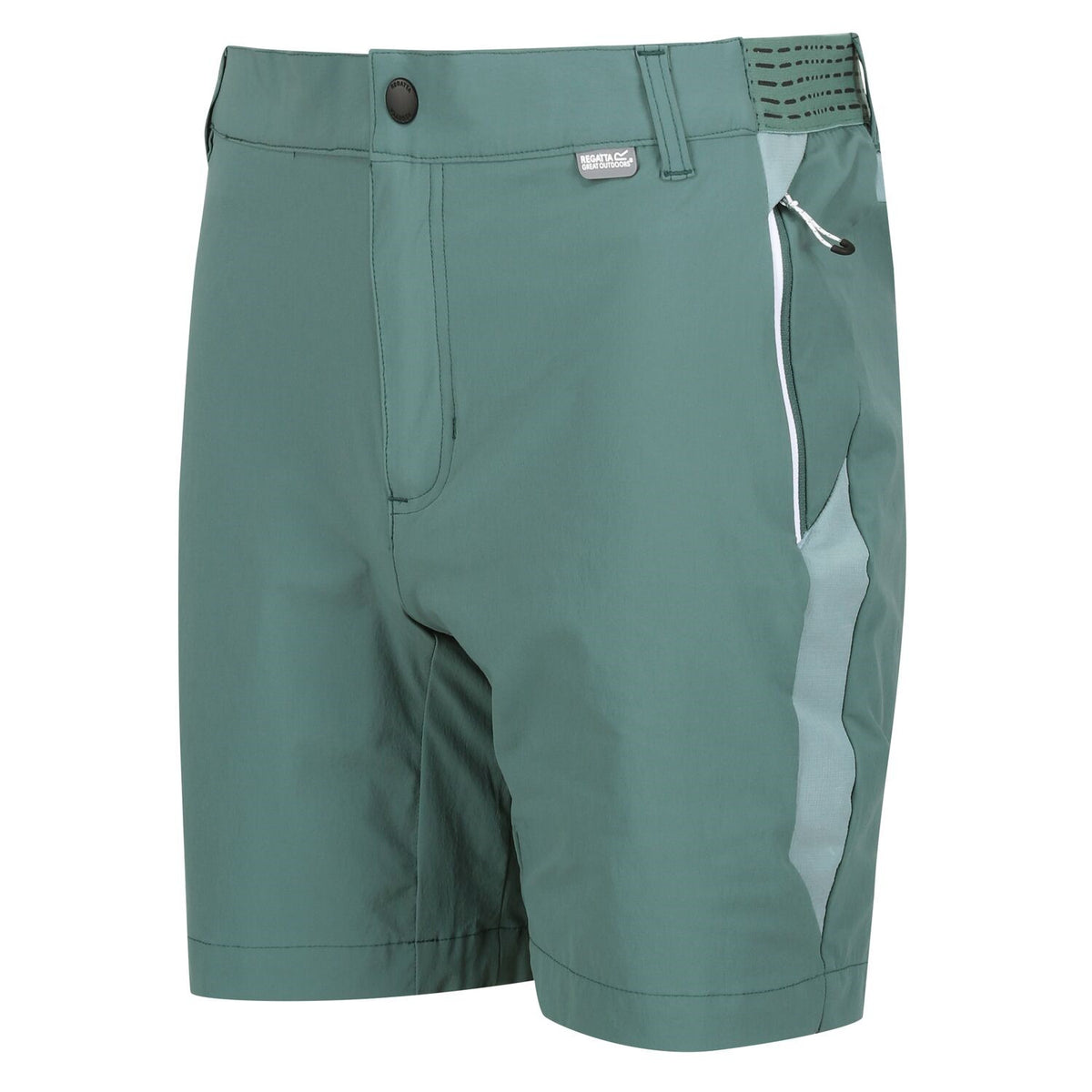Regatta Mountain Shorts II Wanderhose für Herren