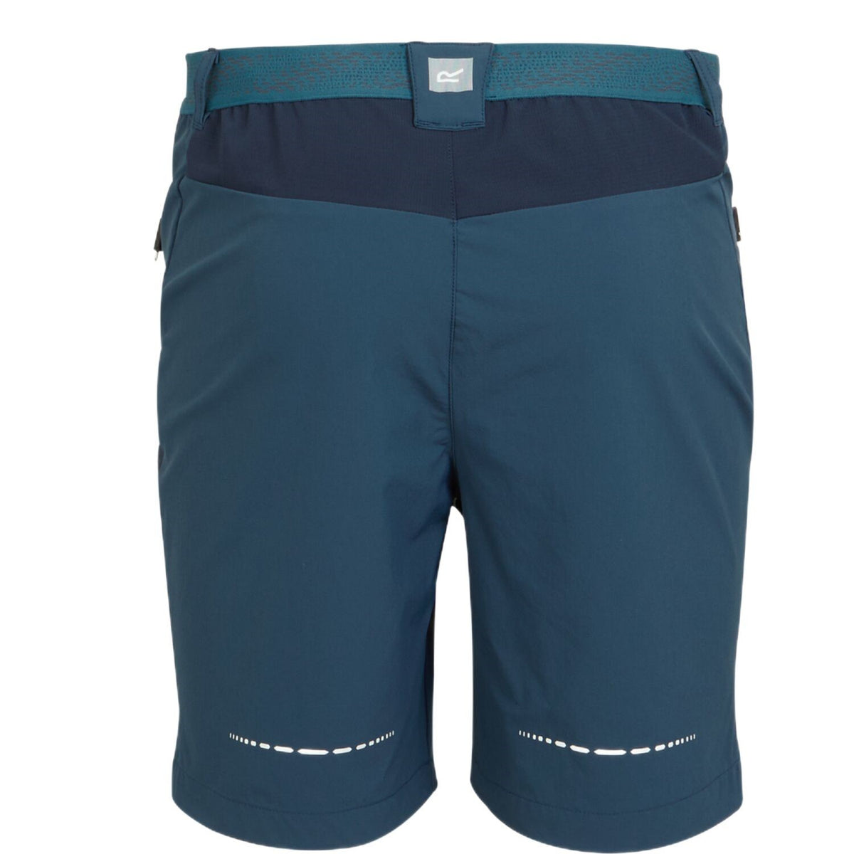 Regatta Mountain Shorts II Wanderhose für Herren