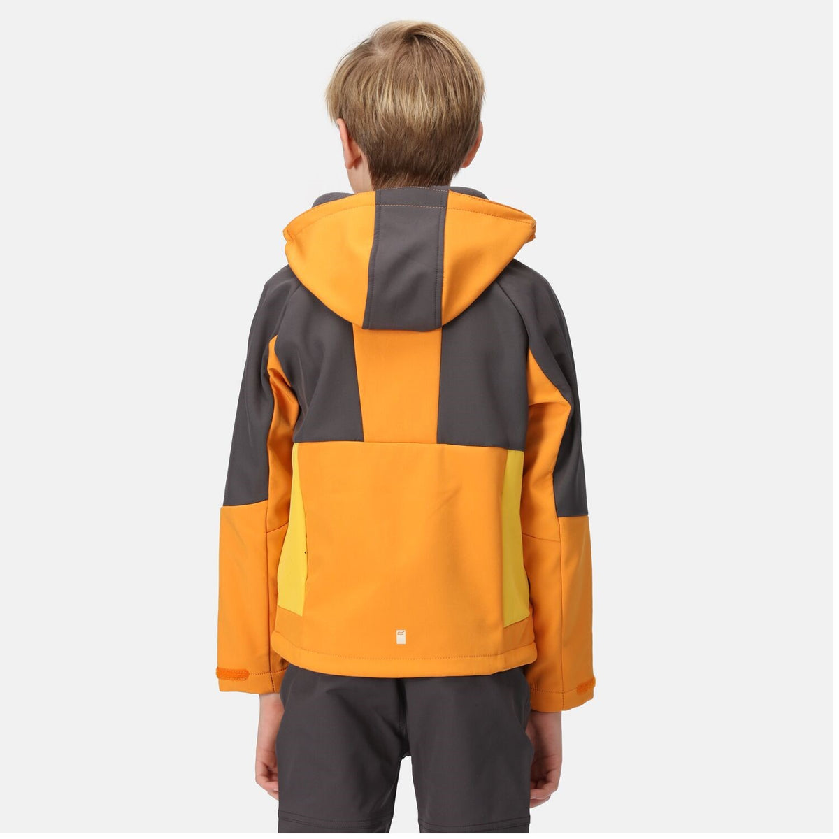 Regatta Softshelljacke Kinder mit Kapuze Haydenbury