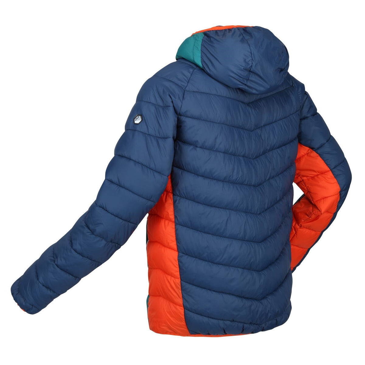 Regatta Steppjacke / Übergangsjacke Herren mit Kapuze