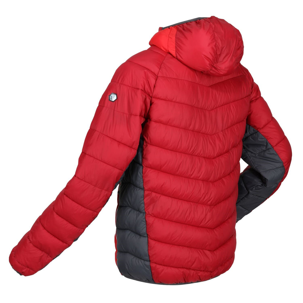 Regatta Steppjacke / Übergangsjacke Herren mit Kapuze