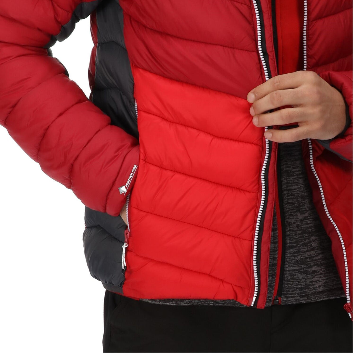 Regatta Steppjacke / Übergangsjacke Herren mit Kapuze
