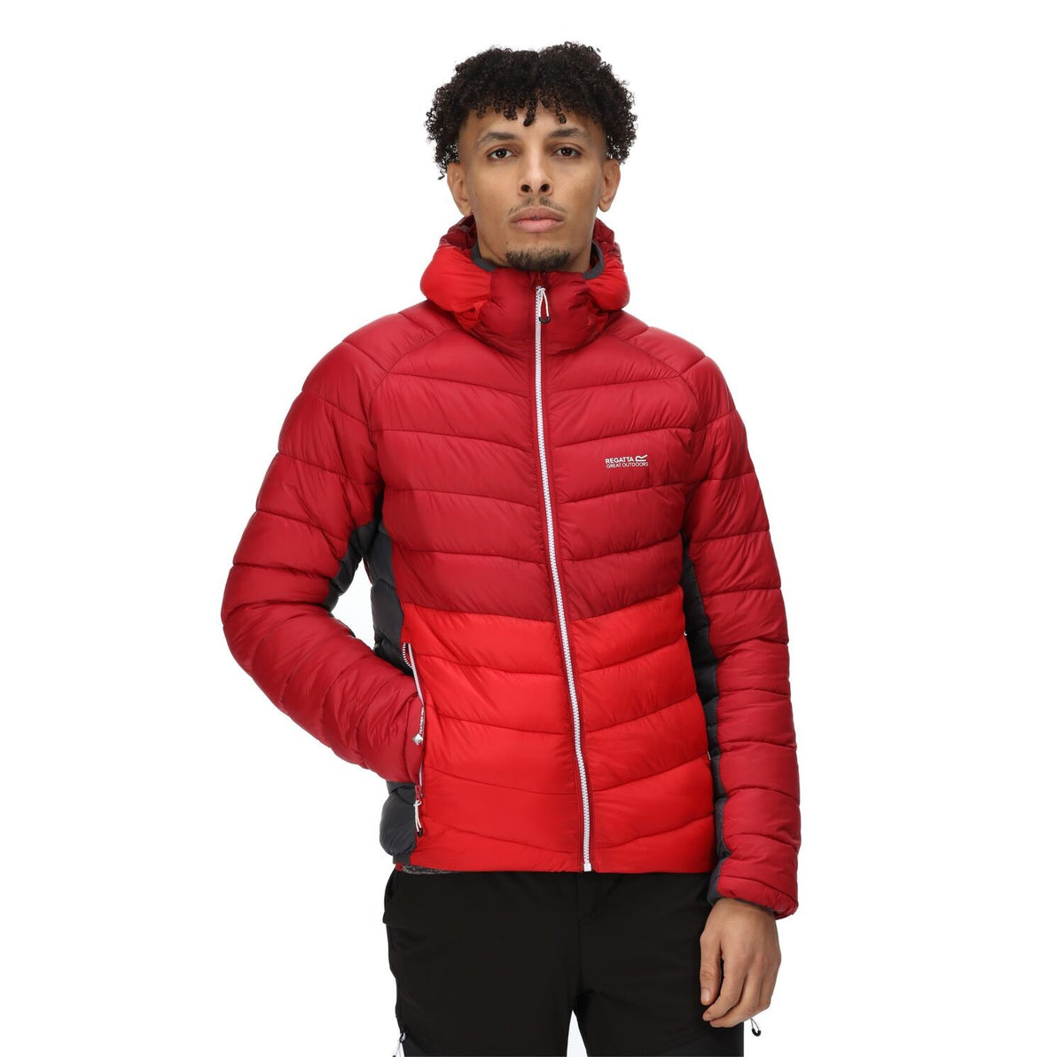 Regatta Steppjacke / Übergangsjacke Herren mit Kapuze