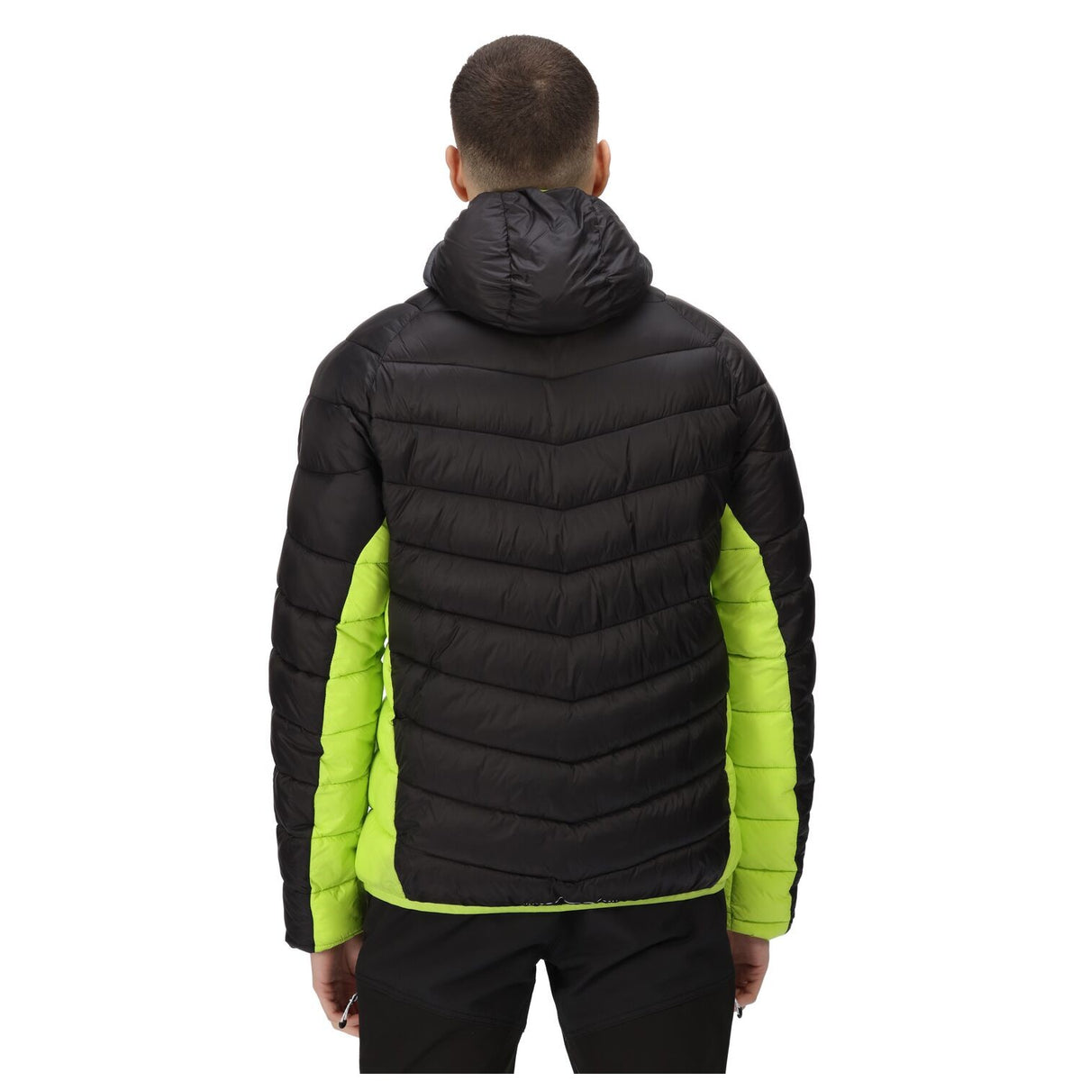 Regatta Steppjacke / Übergangsjacke Herren mit Kapuze