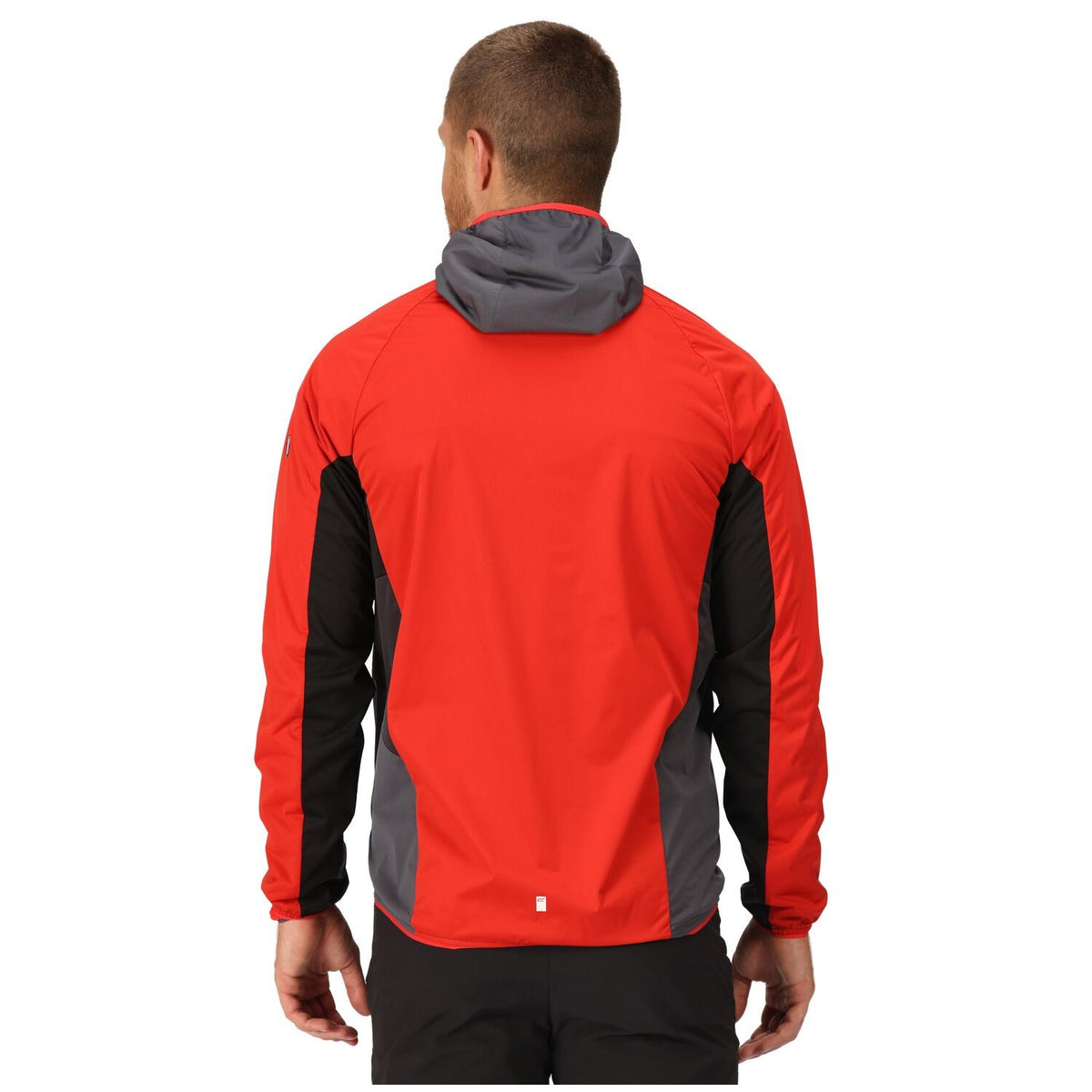 Regatta Tarvos VI Softshelljacke Herren mit Kapuze
