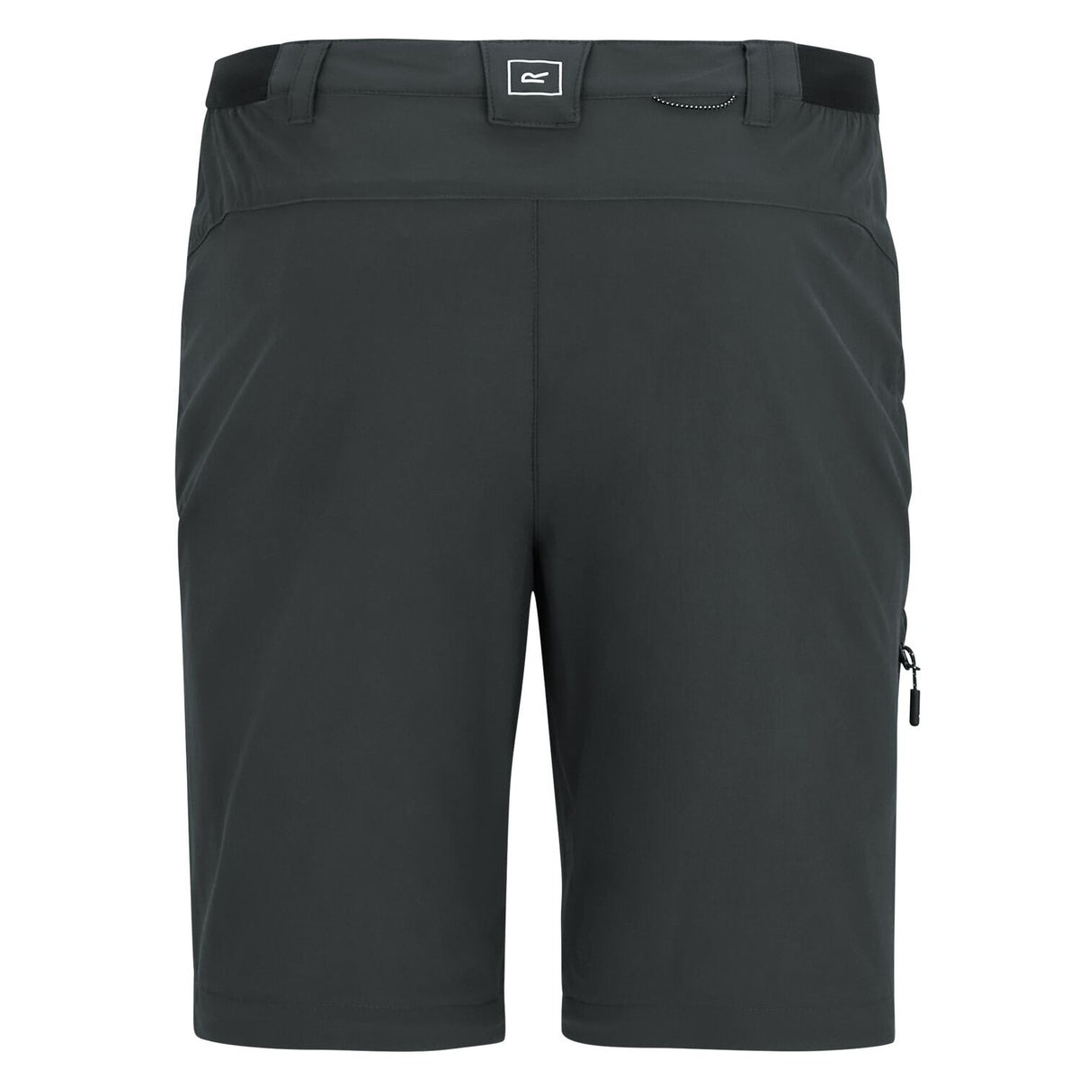 Regatta Travel Light Cargohose / Zip Off Pant für Herren Insektenabweisend