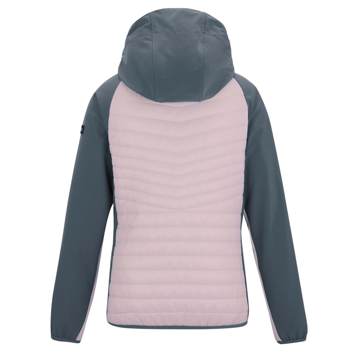 Regatta Wmn Pro Hybrid II Softshelljacke für Damen