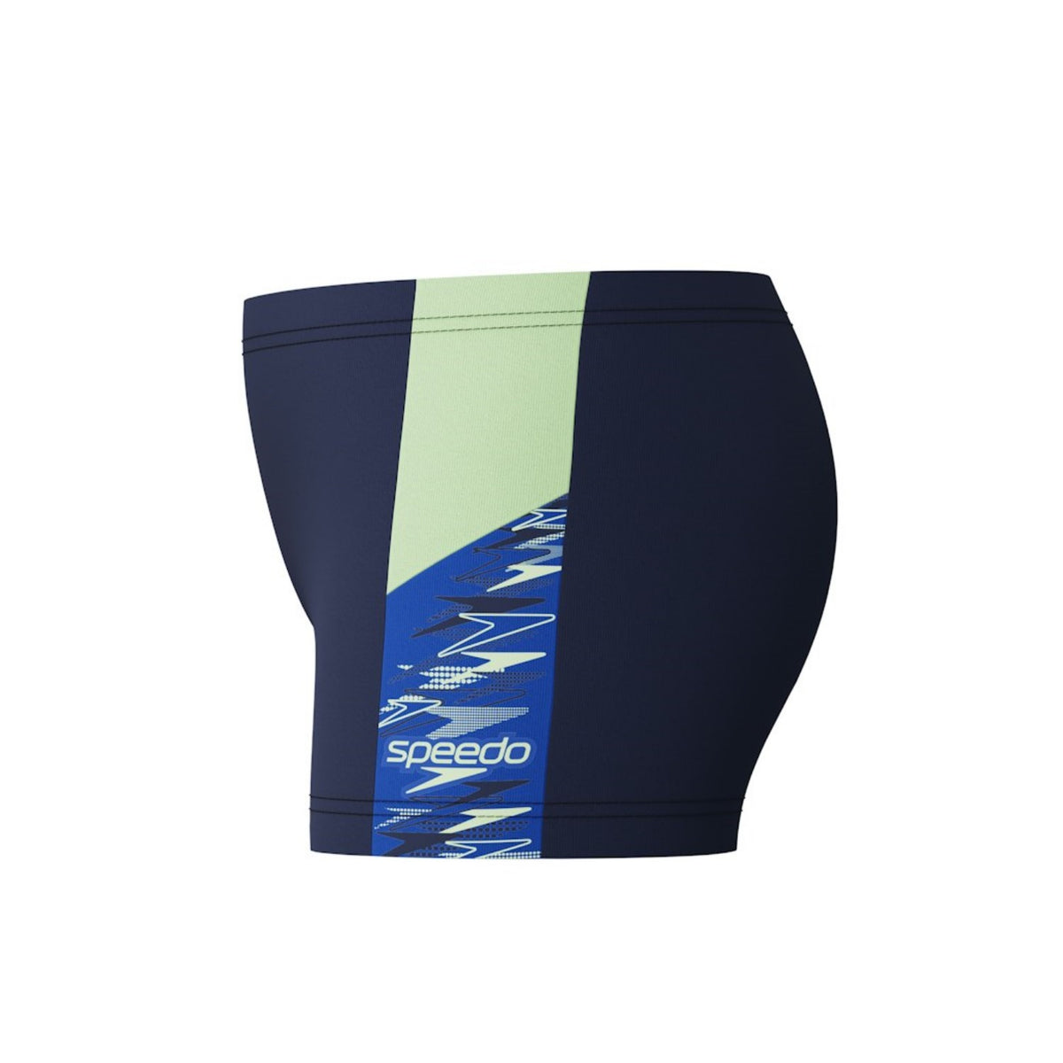 Speedo Dive Aquashort für Jungen