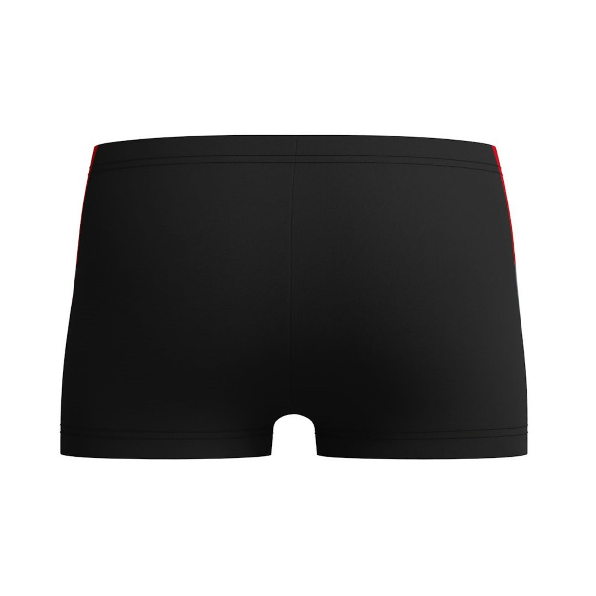 Speedo Dive Aquashort für Jungen