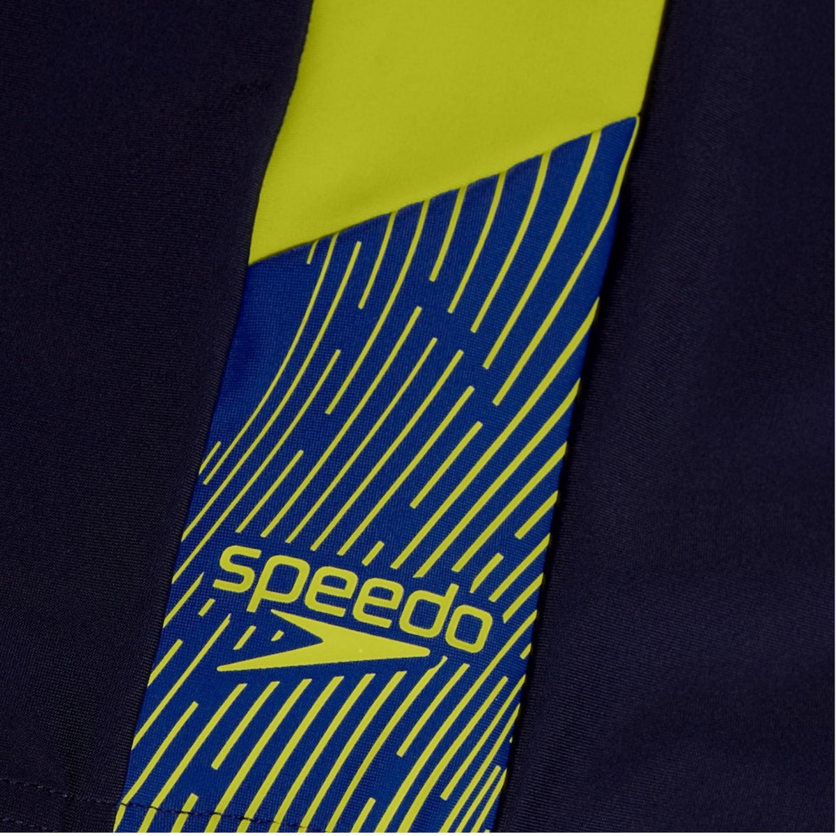 Speedo Dive Aquashort für Jungen