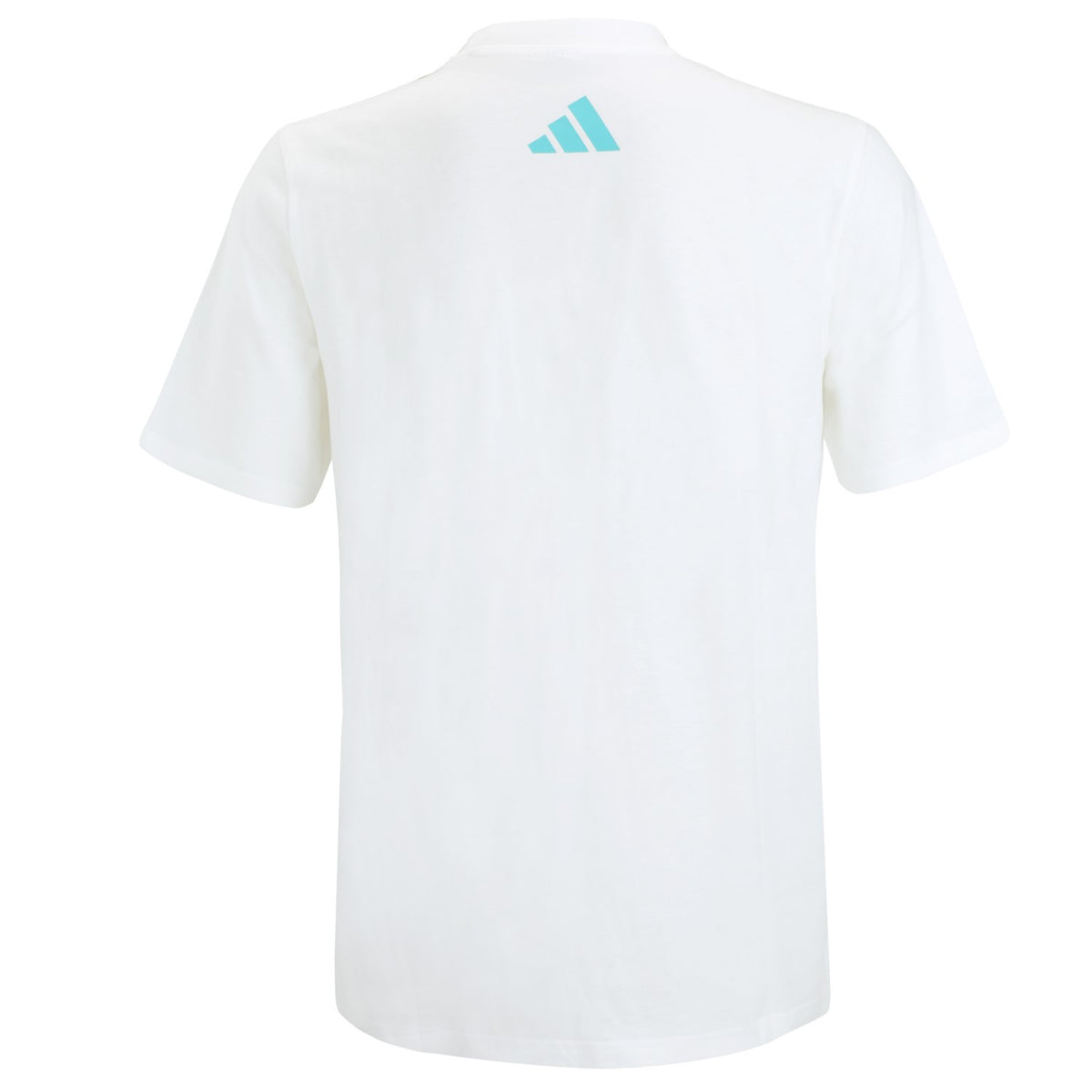 adidas Mercedes AMG Formula one Team DNA T Shirt Herren